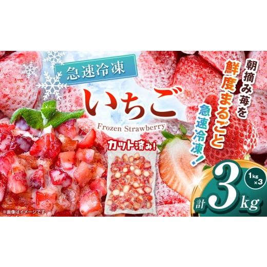 ふるさと納税 いちご 栃木県 那珂川町  栃木県共通返礼品 冷凍いちご 3kg | いちご とちあい...