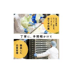 ふるさと納税 干し芋 鹿児島県 志布志市 訳あ...の詳細画像4