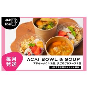 ふるさと納税 果物類 大阪府 泉佐野市 定期便 アサイーボウル 2個＆具ごろごろスープ 2個 全12回 毎月配送コース