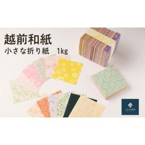 ふるさと納税 伝統技術 福井県 越前市 越前和紙...の商品画像