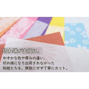 ふるさと納税 伝統技術 福井県 越前市 越前和...の詳細画像2