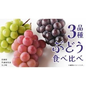 ふるさと納税 ぶどう 茨城県 牛久市 ぶどう ３品種 食べ比べ 2026年8月上旬発送開始 (茨城県共通返礼品：大子町) ブドウ 葡萄 シャインマスカット 巨峰 ピオー…