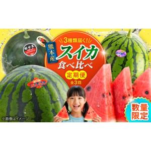 ふるさと納税 スイカ 熊本県 合志市 先行予約 ...の商品画像