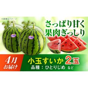 ふるさと納税 スイカ 熊本県 合志市 先行予約...の詳細画像2