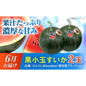 ふるさと納税 スイカ 熊本県 合志市 先行予約...の詳細画像4