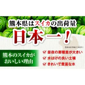 ふるさと納税 スイカ 熊本県 合志市 先行予約...の詳細画像5