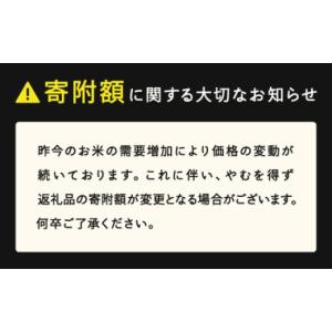 ふるさと納税 米 つや姫 山形県 山辺町 先行...の詳細画像2