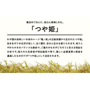 ふるさと納税 米 つや姫 山形県 山辺町 先行...の詳細画像4