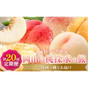 ふるさと納税 もも 岡山県 笠岡市 2026年発送先行予約 桃 5ヶ月 計20回 定期便 岡山 の 桃 探求の旅 20種 各1kg 計20kg 晴れの国おかやま館(漂流岡山)《2026…
