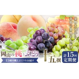 ふるさと納税 果物の詰合せ 岡山県 笠岡市 2026年発送先行予約 桃 ぶどう 6ヶ月 計15回 定期便 岡山 の 桃 と ぶどう 十五撰 10種 計12.9kg 晴れの国おかやま…