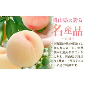 ふるさと納税 もも 岡山県 笠岡市 2027年...の詳細画像4