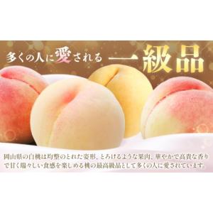 ふるさと納税 もも 岡山県 笠岡市 2027年...の詳細画像5