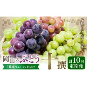 ふるさと納税 ぶどう マスカット 岡山県 笠岡...の詳細画像1