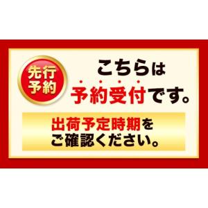 ふるさと納税 ぶどう マスカット 岡山県 笠岡...の詳細画像2