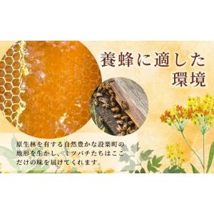 ふるさと納税 加工品等 はちみつ 愛知県 設楽...の詳細画像3