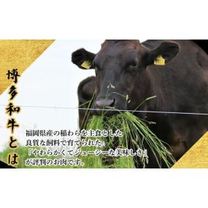 ふるさと納税 牛肉 ヒレ 福岡県 須恵町 和牛...の詳細画像2
