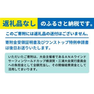 ふるさと納税 スポーツ・アウトドア 神奈川県 ...の詳細画像5