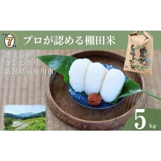 ふるさと納税 米 コシヒカリ 新潟県 糸魚川市  2026年5月発送 令和7年産 新潟県能生谷産コシ...