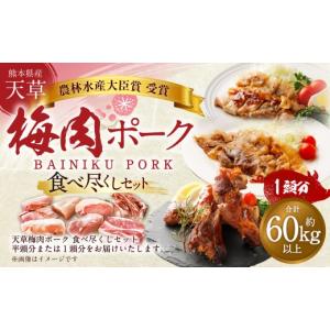 ふるさと納税 豚肉 セット 熊本県 上天草市 豚1頭分 完全無薬 梅肉エキス肥育 熊本県産 天草梅肉ポーク 食べ尽くしセット 一頭 約60kg以上 肉 お肉 豚肉 ポー…