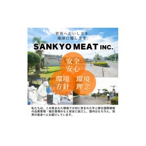 ふるさと納税 豚肉 バラ 鹿児島県 志布志市 ...の詳細画像2