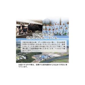 ふるさと納税 豚肉 バラ 鹿児島県 志布志市 ...の詳細画像3