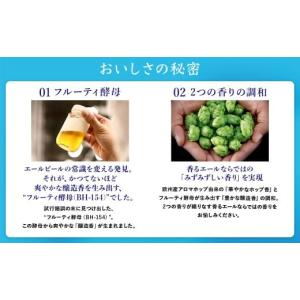ふるさと納税 ビール 群馬県 大泉町 12か月...の詳細画像3