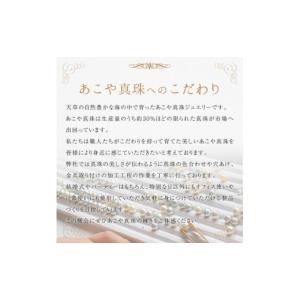 ふるさと納税 アクセサリー ピアス 熊本県 天...の詳細画像4