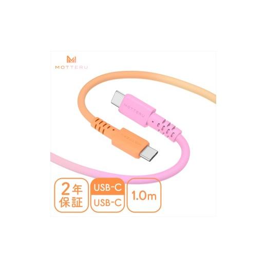 ふるさと納税 電化製品 神奈川県 海老名市 グラデーションケーブル USB-C to USB-C 6...