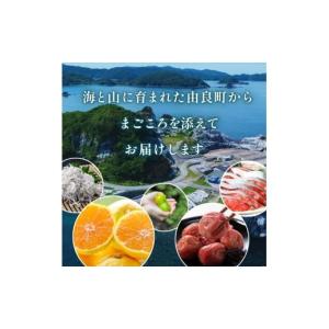ふるさと納税 カタログ 和歌山県 由良町 ふる...の詳細画像2