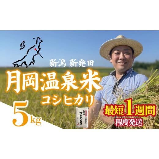 ふるさと納税 米 コシヒカリ 新潟県 新発田市  新米とれたて便 1週間程度発送 新潟県産コシヒカリ...