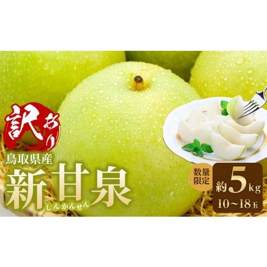 ふるさと納税 梨 鳥取県 琴浦町  先行予約 訳あり 数量限定 鳥取県産”新甘泉（しんかんせん） 約...
