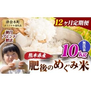 ふるさと納税 米 ブレンド 熊本県 津奈木町 12ヶ月定期便 無洗米 熊本県産 ブレンド米 肥後のめぐみ米 10kg 熊本県産 ふるさと納税 精米 米 こめ ふるさとの…