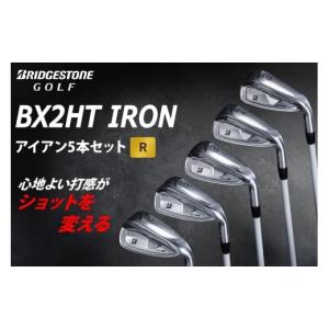 ふるさと納税 スリクソン ZXi5 アイアン6本セット カーボンシャフト