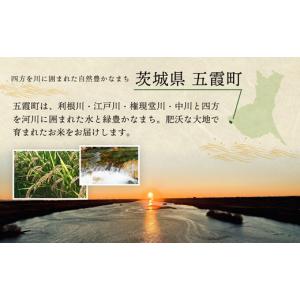 ふるさと納税 米 茨城県 五霞町 令和7年産『...の詳細画像4