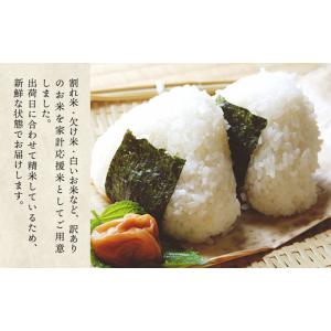 ふるさと納税 米 茨城県 五霞町 令和7年産『...の詳細画像5