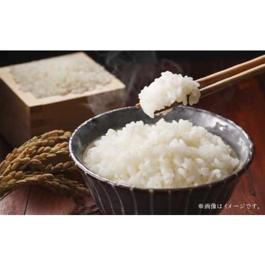 ふるさと納税 米 北海道 北広島市  令和6年産 寒地稲作発祥の地 北広島市産 赤毛米5kg 白米 ...