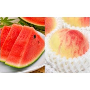 ふるさと納税 果物の詰合せ 和歌山県 新宮市 ...の詳細画像3