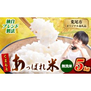 ふるさと納税 米 ブレンド 熊本県 荒尾市 熊本県産 くまもとあっぱれ米 ブレンド米 5kg 熊本県産 《7-14日以内に出荷予定(土日祝除く)》ふるさと納税 無洗米 …