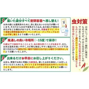 ふるさと納税 米 ブレンド 熊本県 荒尾市 熊...の詳細画像5