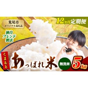 ふるさと納税 米 ブレンド 熊本県 荒尾市 12ヶ月定期便 熊本県産 くまもとあっぱれ米 ブレンド米 5kg 熊本県産 ふるさと納税 無洗米 精米 米 こめ ふるさとの…