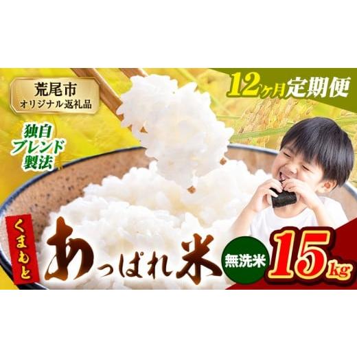 ふるさと納税 米 ブレンド 熊本県 荒尾市  12ヶ月定期便 熊本県産 くまもとあっぱれ米 ブレンド...