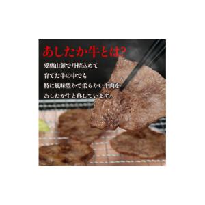 ふるさと納税 生き物 静岡県 長泉町 あしたか...の詳細画像2