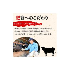 ふるさと納税 生き物 静岡県 長泉町 あしたか...の詳細画像4