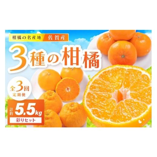 ふるさと納税 みかん・柑橘類 佐賀県 伊万里市 佐賀産 柑橘定期便 彩りセット 全3回 せとか はま...