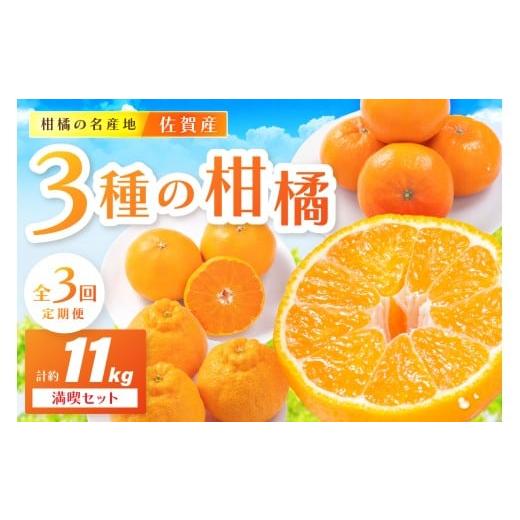ふるさと納税 みかん・柑橘類 佐賀県 伊万里市 佐賀産 柑橘定期便 満喫セット 全3回 せとか はま...