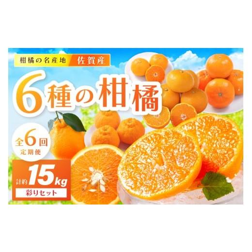 ふるさと納税 みかん・柑橘類 佐賀県 伊万里市 佐賀産 柑橘6種定期便 彩りセット 全6回 999-...