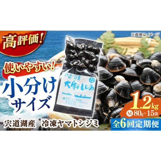 ふるさと納税 魚貝類 しじみ 島根県 松江市  全6回定期便 シジミ ヤマトシジミ 生産量日本一 宍...