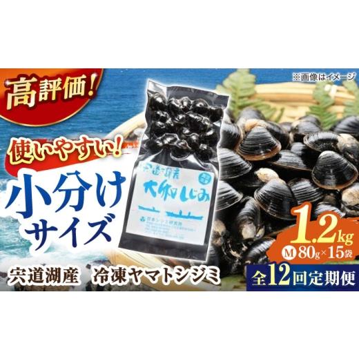 ふるさと納税 魚貝類 しじみ 島根県 松江市  全12回定期便 シジミ ヤマトシジミ 生産量日本一 ...