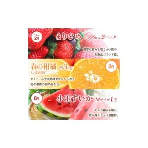ふるさと納税 果物の詰合せ 和歌山県 由良町 ...の詳細画像4