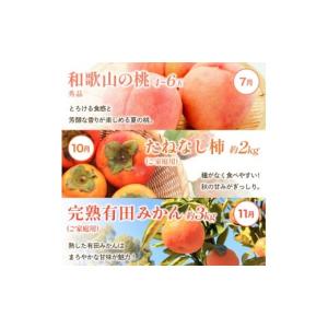 ふるさと納税 果物の詰合せ 和歌山県 由良町 ...の詳細画像5